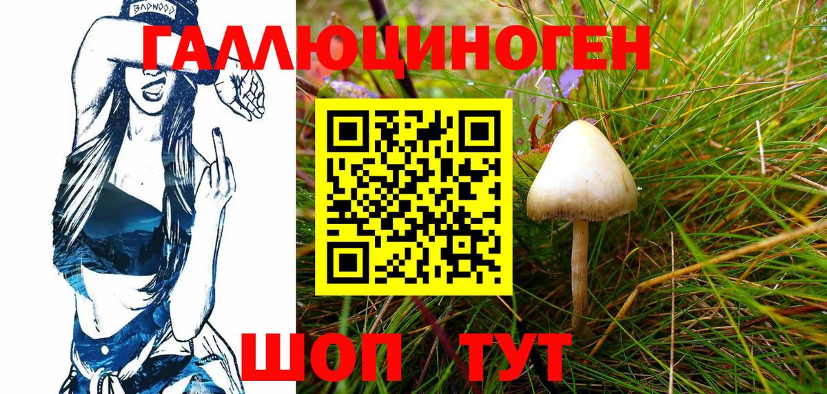 Галлюциногенные грибы Magic Shrooms Чернушка
